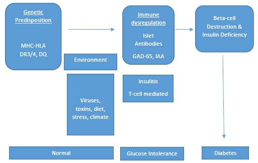 Figure 2 – Natural Progression of Type 2 Diabetes.