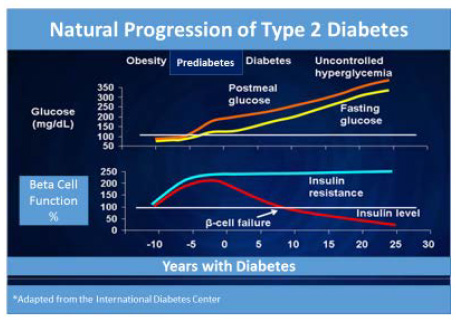 Figure 2 – Natural Progression of Type 2 Diabetes.