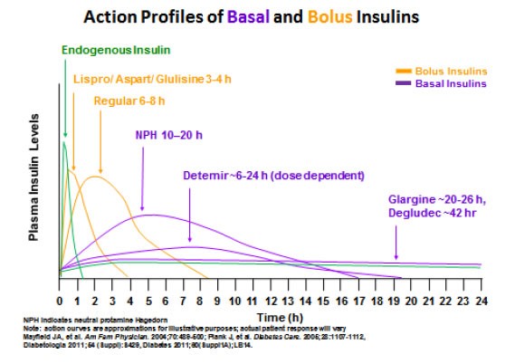 Insulin Time Action Chart
